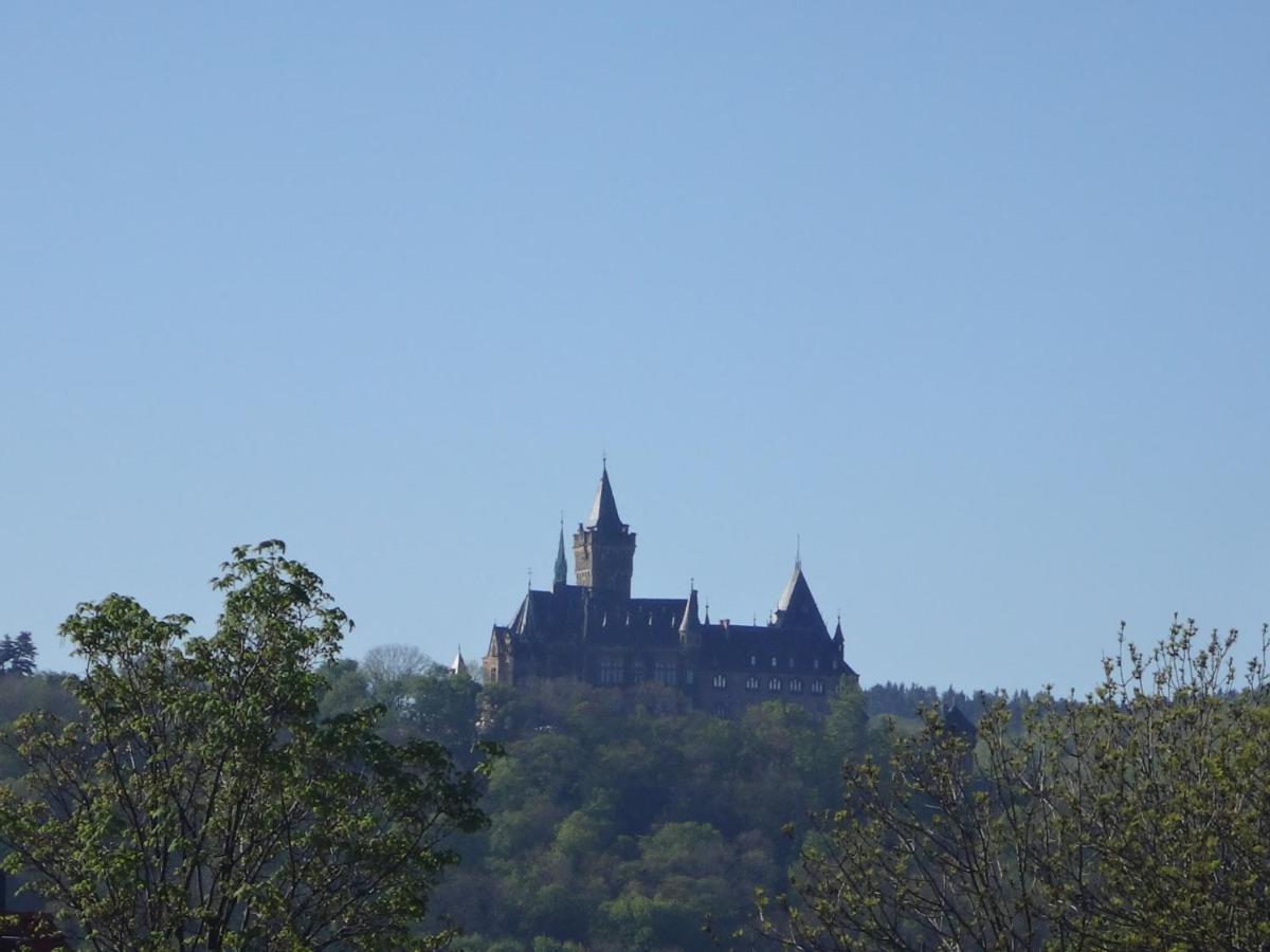 Amazing Elli Wernigerode